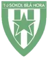 TJ Sokol Bílá Hora z.s.
