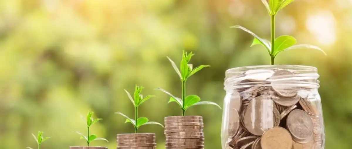 Hráčské příspěvky - podzim 2025